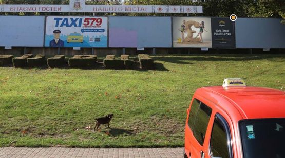 Фото рекламной плоскости по адресу Гагарина ул, напротив входа в Ж/Д вокзал, второй справа