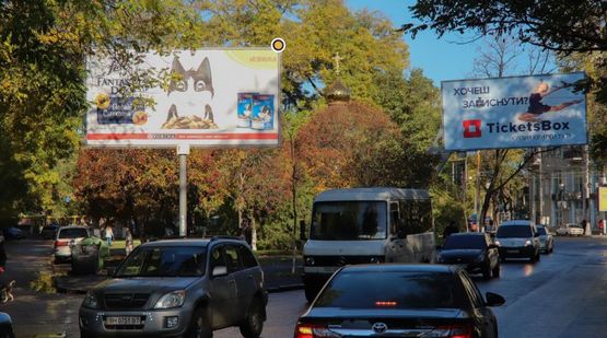 Фото рекламной плоскости по адресу Мечникова ул., 89