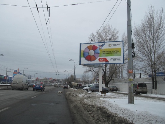 Фото рекламної площини за адресою Луговая ул., 13 (напротив ТЦ "Караван", АЗС "Золотой гепард", АЗС "Socar", по направлению Куреневки