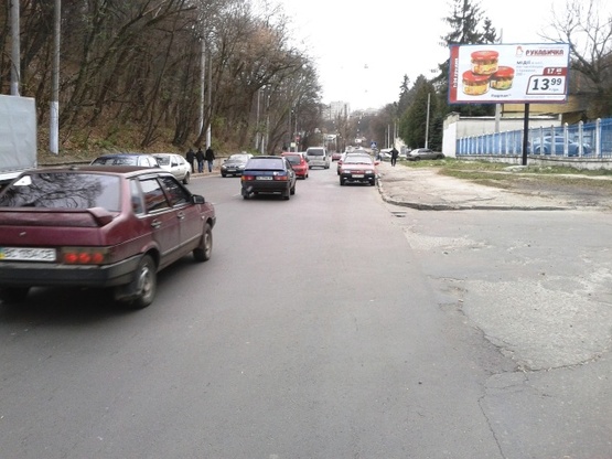 Фото рекламной плоскости по адресу Стуса ул., (Спорткомплекс "Динамо", ресторан "Динамо блюз", парк Железная Вода, Снопковский парк), в напр. из города
