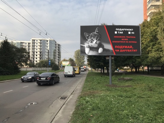 Фото рекламной плоскости по адресу Мазепы ул., 5, (маркет "АТБ", аптека "Сальве", рынок "Тополь-1"), в направл. ул. Замарстыновской