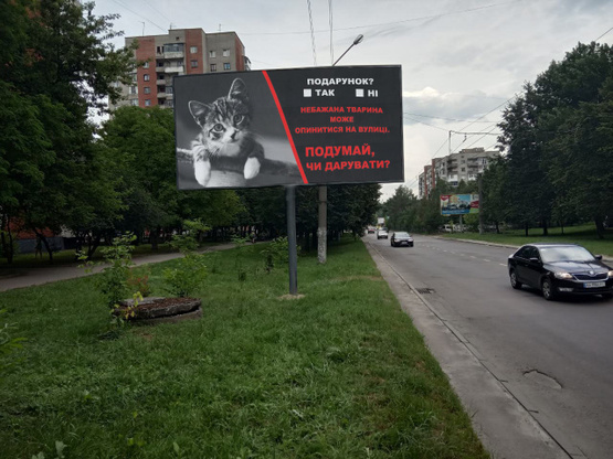 Фото рекламной плоскости по адресу Мазепы ул., 5, (маркет "АТБ", аптека "Сальве", рынок "Тополь-1"), в направл. ул. Гринченко