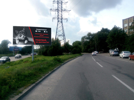 Фото рекламної площини за адресою ул. Луганськая-Стрыйская, 98 (АЗС WOG, автомойка)