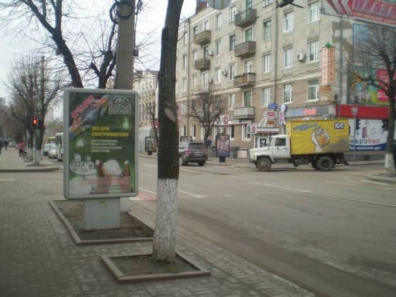 Фото рекламной плоскости по адресу ул. Большая Перспективная