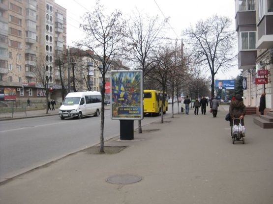 Фото рекламної площини за адресою ул. Киевская (остановка Шелушкова)