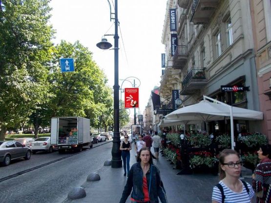 Фото рекламной плоскости по адресу пр. пр.Свободи