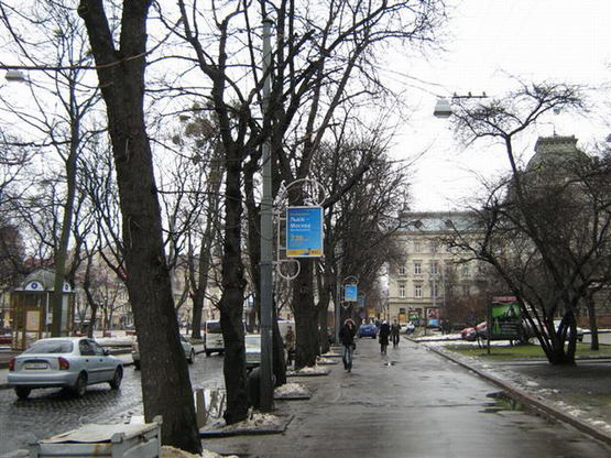 Фото рекламной плоскости по адресу пр. пр.Свободи