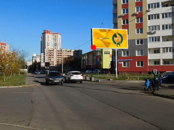 Фото рекламной плоскости по адресу Ломоносова ул. 56