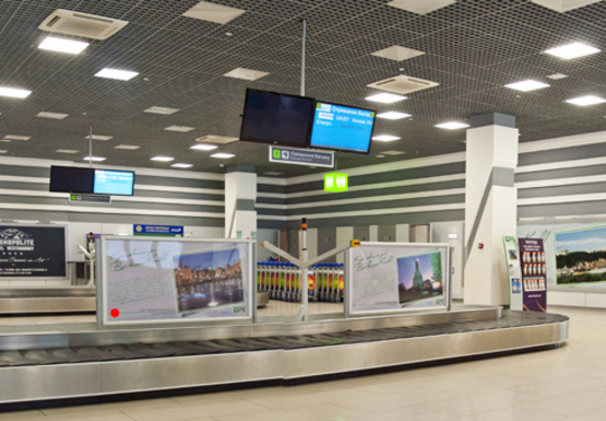 Фото рекламной плоскости по адресу Зал получения багажа, 1 этаж (Терминал А)
