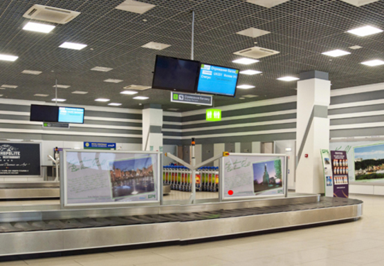 Фото рекламної площини за адресою Зал получения багажа, 1 этаж (Терминал А)