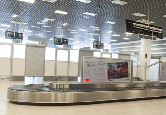 Фото рекламної площини за адресою Зал получения багажа, 1 этаж (Терминал А)