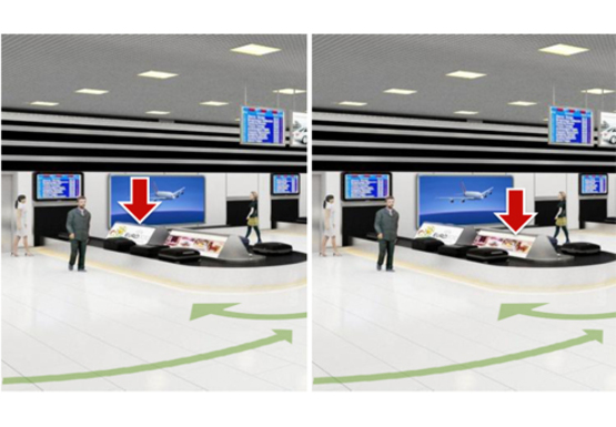 Фото рекламной плоскости по адресу Зал получения багажа, 1 этаж (Терминал А)