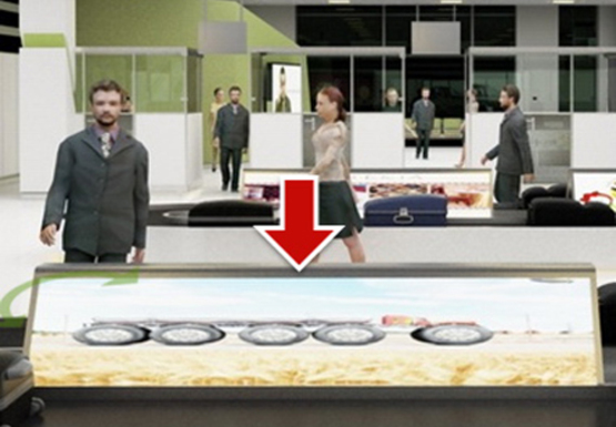 Фото рекламної площини за адресою Зал получения багажа, 1 этаж (Терминал А)