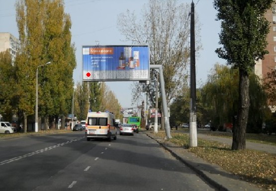 Фото рекламної площини за адресою Добровольского ул., 102
