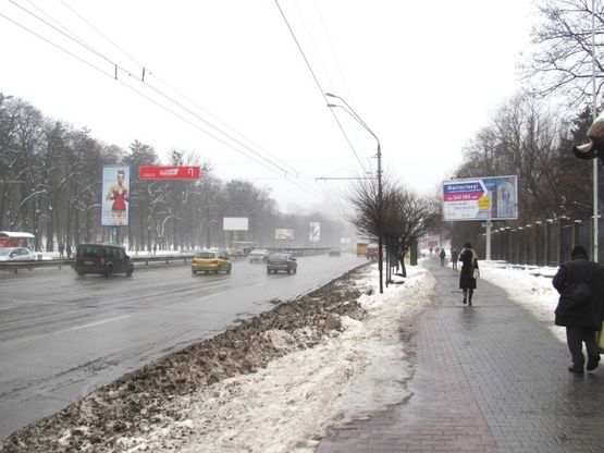 Фото рекламной плоскости по адресу Победы просп., Зоопарк, (ст. м. Политехнический Ин-т, парк КПИ), в направ. ул В.Гетьмана, призма