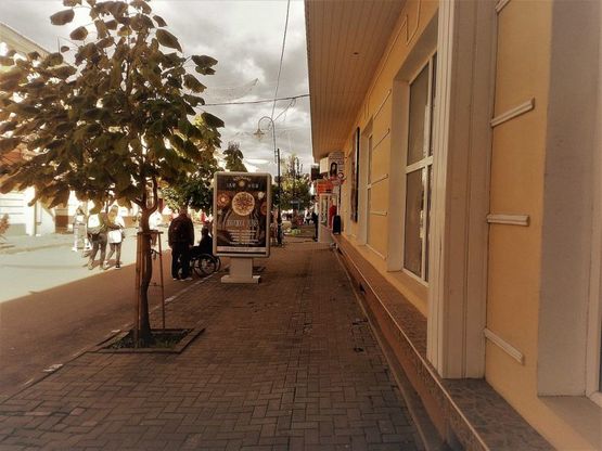 Фото рекламной плоскости по адресу пр. Чорновола (магазин Каштан)