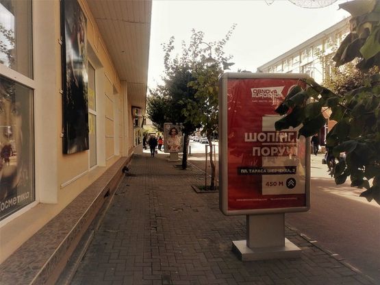 Фото рекламной плоскости по адресу пр. Чорновола (магазин Каштан)