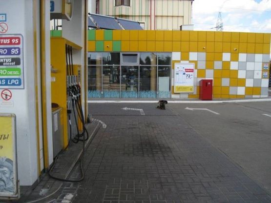 Фото рекламной плоскости по адресу Чабаны, 1