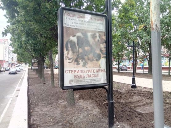 Фото рекламной плоскости по адресу проспект Мира, 29, Космо (сторона Б)