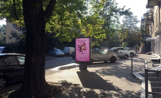 Фото рекламной плоскости по адресу Гуцала Євгена Пров.(пров. Кутузова)/("Печерьский" Базар, "Камелія")