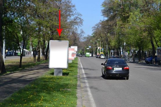 Фото рекламної площини за адресою пр. Пушкіна, на розподільчій алеї, від вул. А.Фабра до просп. О.Поля -3-/пр. Пушкина, на разделительной аллее, от ул. Серова до пр. Кирова -3-