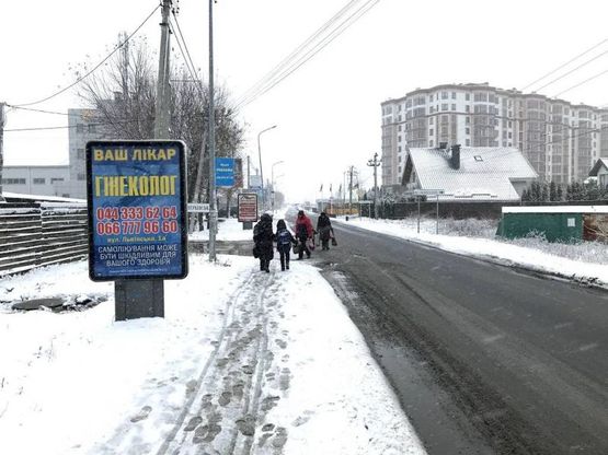 Фото рекламной плоскости по адресу Между Ул. Черкаская и Ул. Каштановая