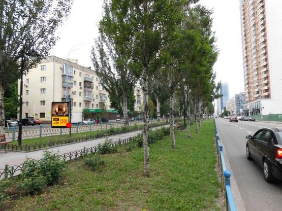 Фото рекламної площини за адресою Лесі Українки бульв. 20 бульварна частина