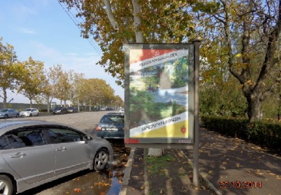 Фото рекламной плоскости по адресу Центральный Аэропорт ул. (№42)