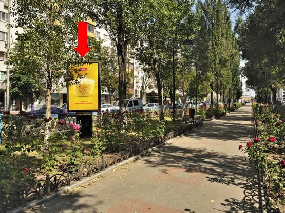 Фото рекламної площини за адресою Украинки бул., 17, (бульвар), напротив магазина "Комфорт люкс"