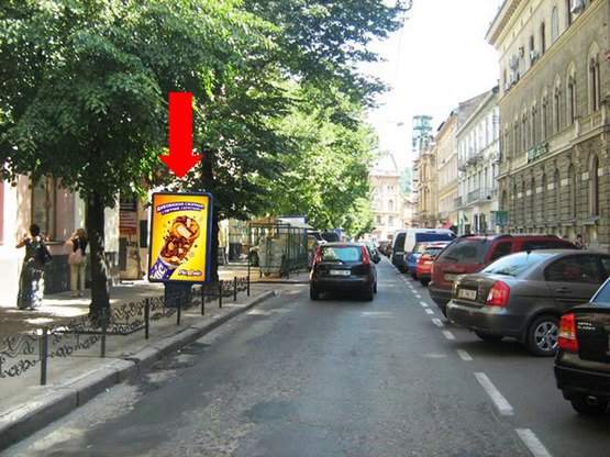 Фото рекламной плоскости по адресу Сечевых Стрельцов ул., 10