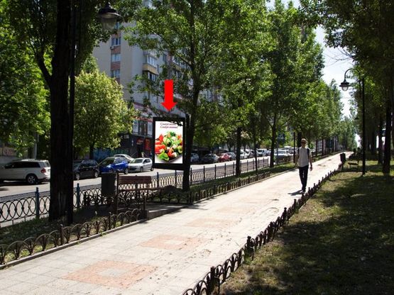 Фото рекламной плоскости по адресу Украинки бул., 3, на светофоре, в сторону пл. Л. Украинки