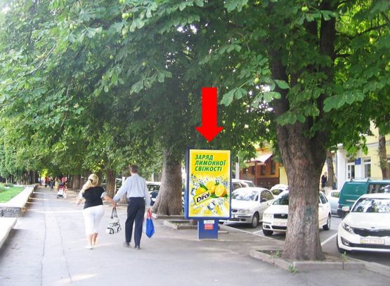 Фото рекламной плоскости по адресу Проскуровская ул. / ул. Грушевского, возле парка им. Т. Шевченко, салона "Киевстар"