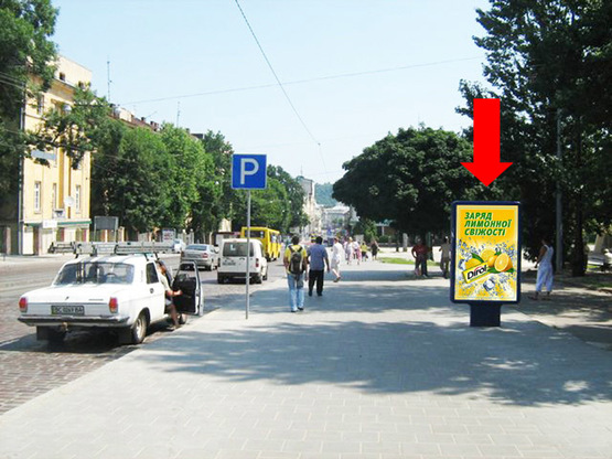 Фото рекламной плоскости по адресу Городоцкая ул., 83, Цирк, в центр