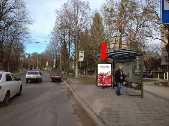 Фото рекламної площини за адресою Зелёная ул., 113 (ост."Липовая Аллея"), в центр