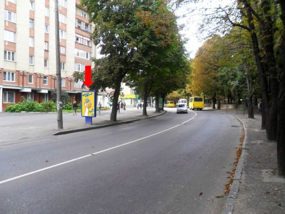 Фото рекламной плоскости по адресу Черновола ул., 40 / Лермонтовская ул., напротив парка им. Шевченко