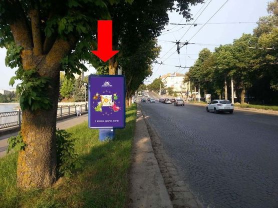 Фото рекламной плоскости по адресу Русская ул., возле парка "Топильче", дамба, в центр