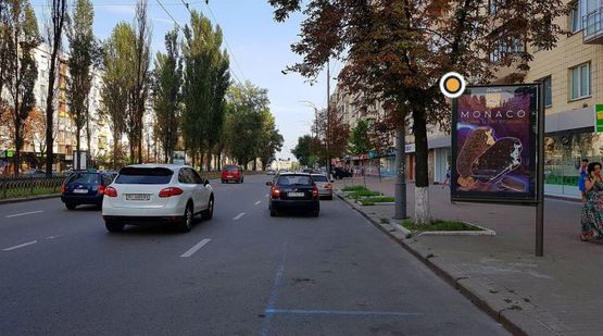 Фото рекламной плоскости по адресу Леси Украинки бул. 24 Зоомагазин