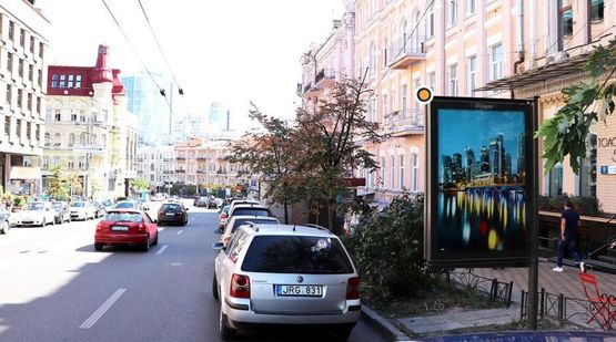 Фото рекламной плоскости по адресу Льва Толстого ул. 5