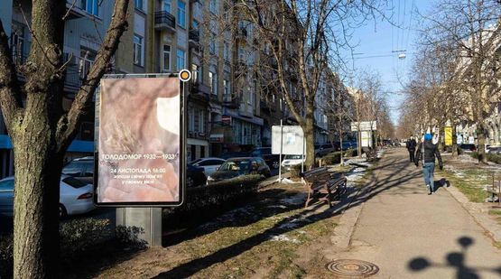 Фото рекламної площини за адресою Антоновича ул. разделитель