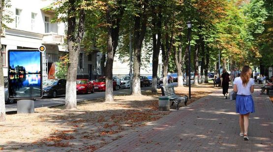 Фото рекламной плоскости по адресу Липская ул.  разделитель