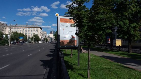 Фото рекламной плоскости по адресу Проспект Победы, разделитель, напротив супермаркета Велика Кишеня ,к ТЦ "Украина"