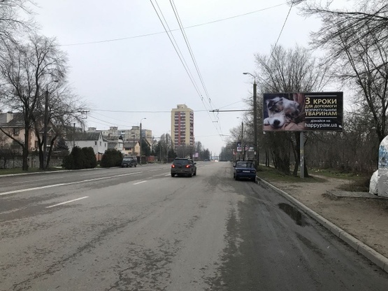 Фото рекламной плоскости по адресу Янтарная ул., 60, в сторону ул. Репина (жилой массив)
