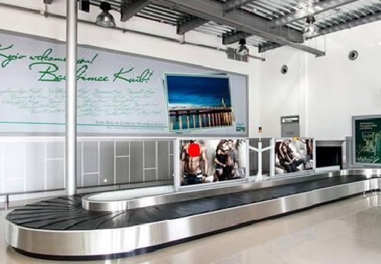 Фото рекламной плоскости по адресу Зал получения багажа, 1 этаж (Терминал D)