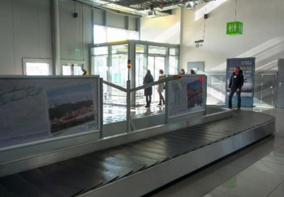 Фото рекламной плоскости по адресу Зал получения багажа, 1 этаж (Терминал D)