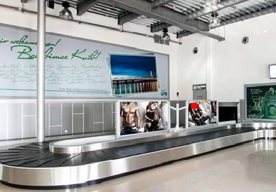 Фото рекламной плоскости по адресу Зал получения багажа, 1 этаж (Терминал D)