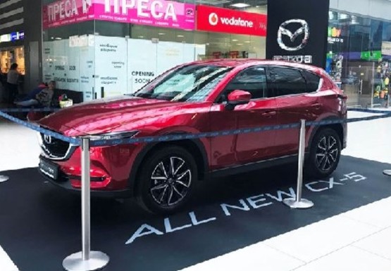 Фото рекламной плоскости по адресу Центральный холл, 1 этаж (Терминал А)