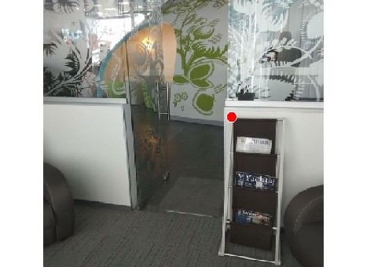 Фото рекламной плоскости по адресу Центральный холл, 1 этаж (Терминал В)