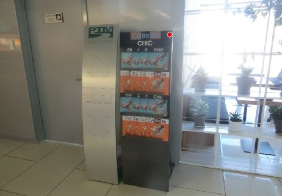 Фото рекламной плоскости по адресу Центральный холл, 1 этаж (Терминал А)