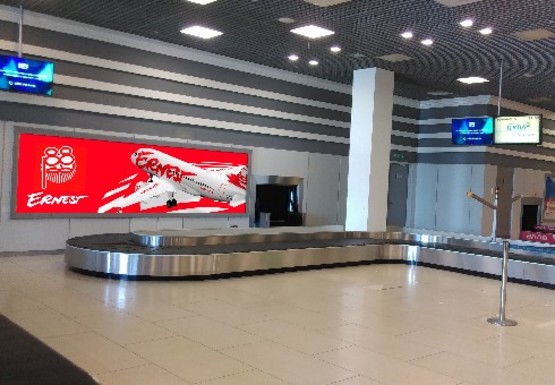 Фото рекламной плоскости по адресу Зал получения багажа, 1 этаж (Терминал А)