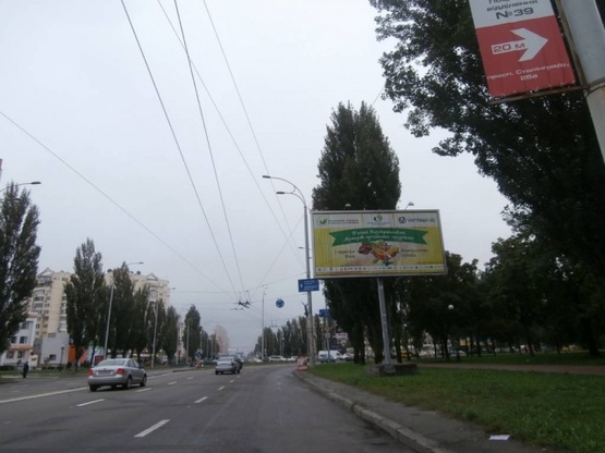 Фото рекламної площини за адресою Героев Сталинграда проспект / Малиновского (возле д.23)